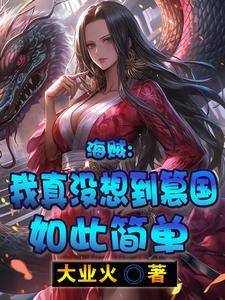 海贼王之篡取世界