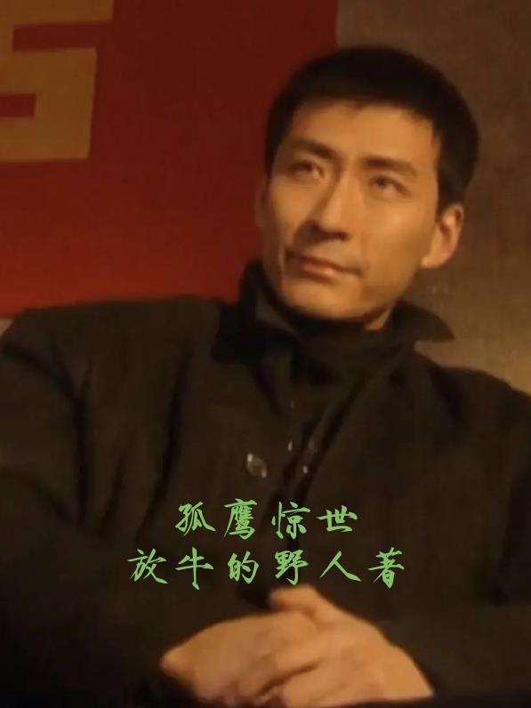 孤鹰改编电视