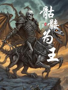 骷髅之王攻是谁