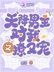 天降男神免费观看